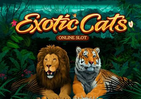 Exotic Cats