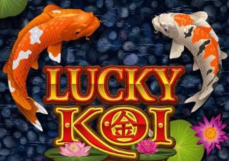 Lucky Koi